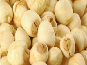 ��ҩ��ȫ ����