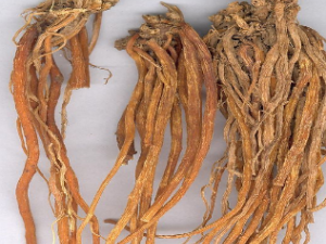 ��ҩ��ȫ ����