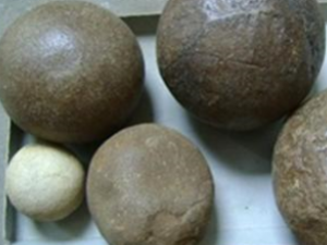 ��ҩ��ȫ ������