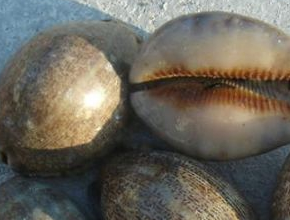 ���ݵĹ�Ч������