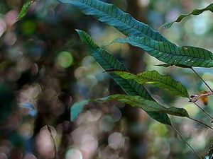 ��Ե����ާ�ĵĹ�Ч������|�÷�|����