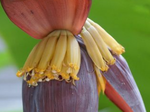 �Ž����Ĺ�Ч������