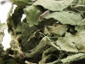 ��ѡ��Ҷ��ע������  ��Ҷ��ˮ�ȵĽ���