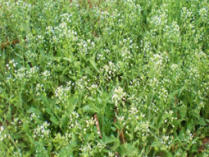 ��ҩ��ȫ �����˻�