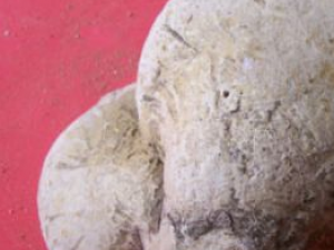 �����Ĺ�Ч������