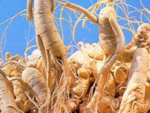 �˲��ܲ����߿�ͬ����