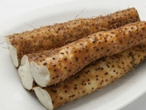 ɽҩ���������������� ɽҩҲ�ɲ����̾�