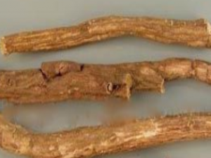 ʳ�Ĵ�ȫ ��ĵ����