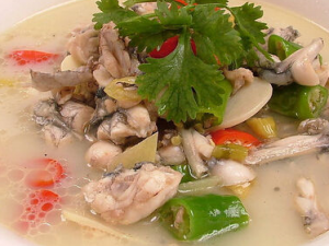 ��������Щ���� ���򲡻��߿ɷ��ð�����