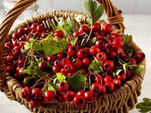 ��ɽ髲�����Щ����