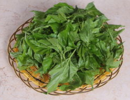 ���������ð����  ɣҶ