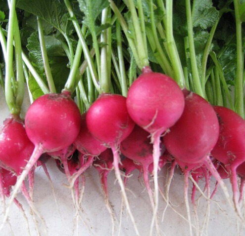 �����ܲ������ܲ��Ĺ�Ч������|Ӫ����ֵ_���ܲ�����������ȫ