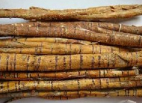 ɣ��Ƥ�Ĺ�Ч|����