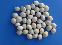 ���ӹ��Ĺ�Ч|����