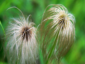 �����ײ�