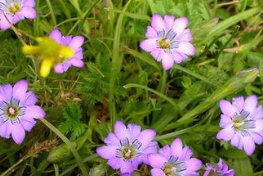 С������