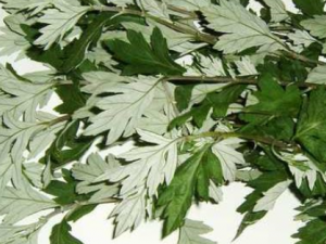 ��Ҷ�β�ƫ��