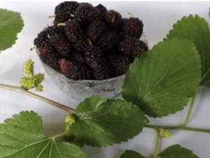 ɣҶ���β��鷽