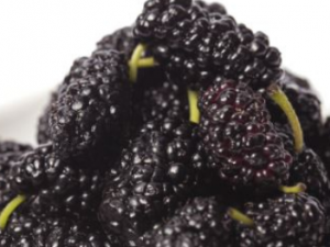 ɣ�ص�ҩ����Ч