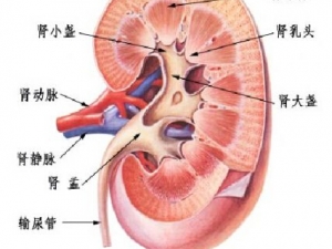 ����Ķ��� ΪʲôҪ���������ǿ�����ı���