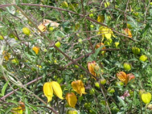 ����������