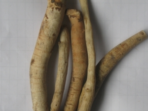 �������߸�