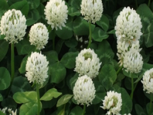 �׻�����