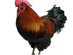 ��������Щ��λ���ܳ�