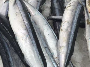 ����������ʳ�ﶼ�ʺ�����