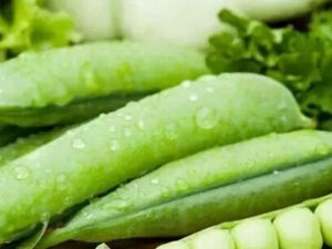 ��˾���ѡ��Ӧ���߲�