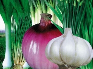 ��ҽ�����������������6���������ˡ� �־���Ӫ��