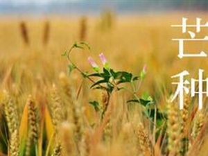 â��ʱ�ڵ���ʳ����   ���岹������ѵ�ѡ��