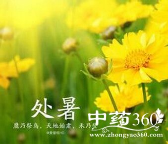 处暑天,我们该如何养生?