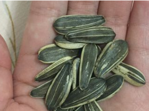 ������С��������