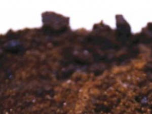 �������Щ��Ч������