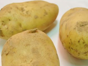 ���϶��˳�ʲô���