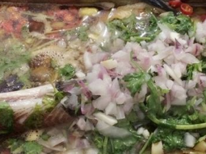 ������ʳ���²�