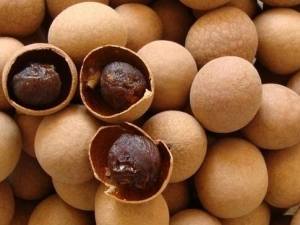 ԲɵĹЧ_Բô|μõĹԲɣ