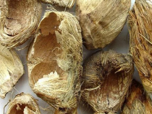 ��ë�Ĺ�Ч������|��ë������Ӧ��