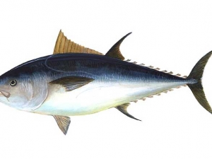 ǹĹЧ_ǹӪֵ|ҳǹı