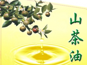 ɽ���͵Ĺ�Ч������|ɽ���͵ļ���