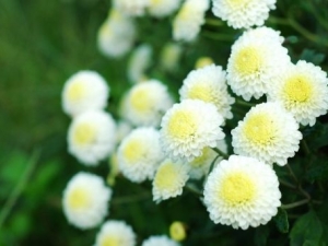 ���ջ��Ĺ�Ч������|�÷�����_���ջ��Ľ���