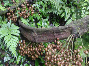 �����Ѿ�