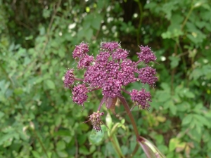 �ϻ�ǰ���Ĺ�Ч������| �ϻ�ǰ����׻�ǰ��������