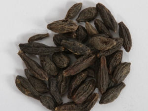 ������Ĺ�Ч������|�÷�����|������Ⱥ_�����Сƫ��