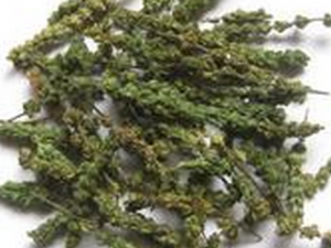 �˲ξ���ɢ����