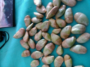 Ƥ˵ĹЧ Ƥ˵ҩüֵ Ƥ˵Ӫֵ