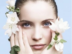 ���������������� ����������