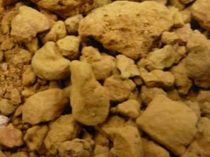 ������ɢ