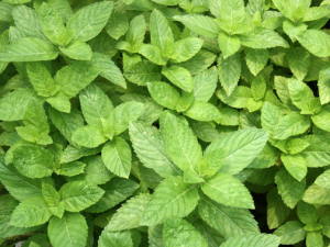 ����ϴ��Ҳ������ֹ��